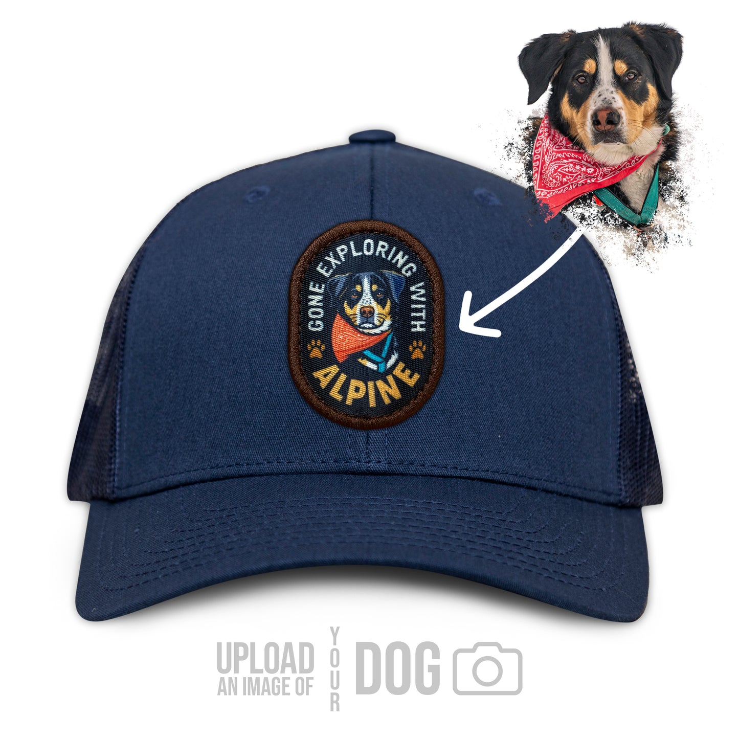 ONE-OF-A-KIND Custom Dog Hat
