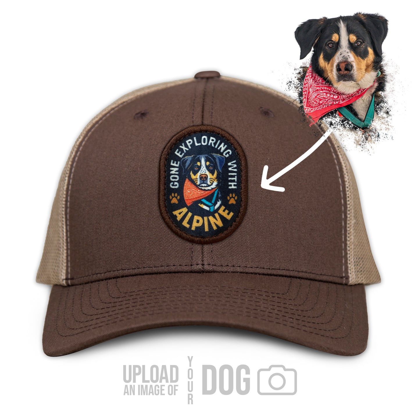 ONE-OF-A-KIND Custom Dog Hat
