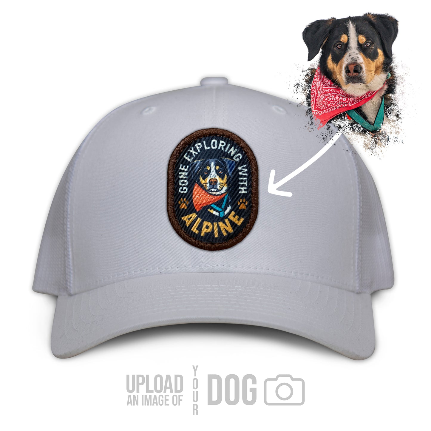 ONE-OF-A-KIND Custom Dog Hat