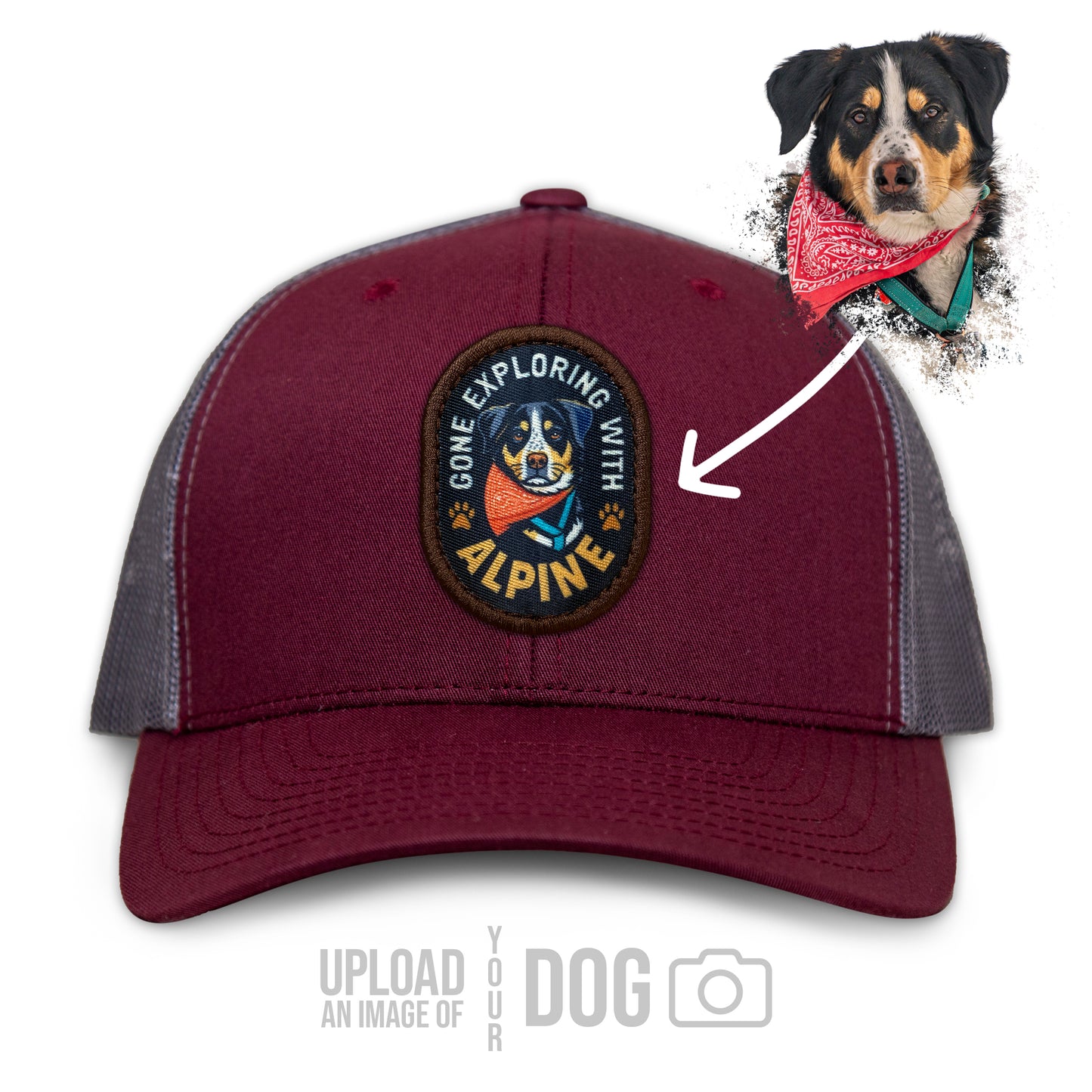 ONE-OF-A-KIND Custom Dog Hat