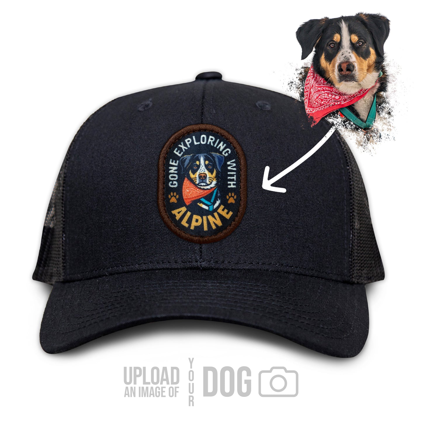 ONE-OF-A-KIND Custom Dog Hat
