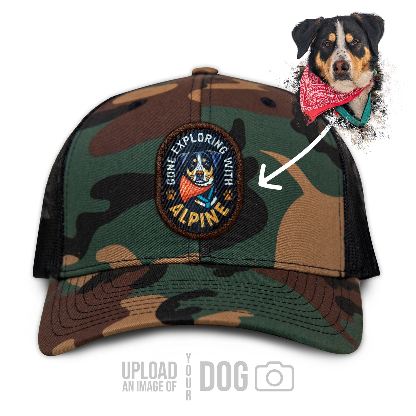 ONE-OF-A-KIND Custom Dog Hat