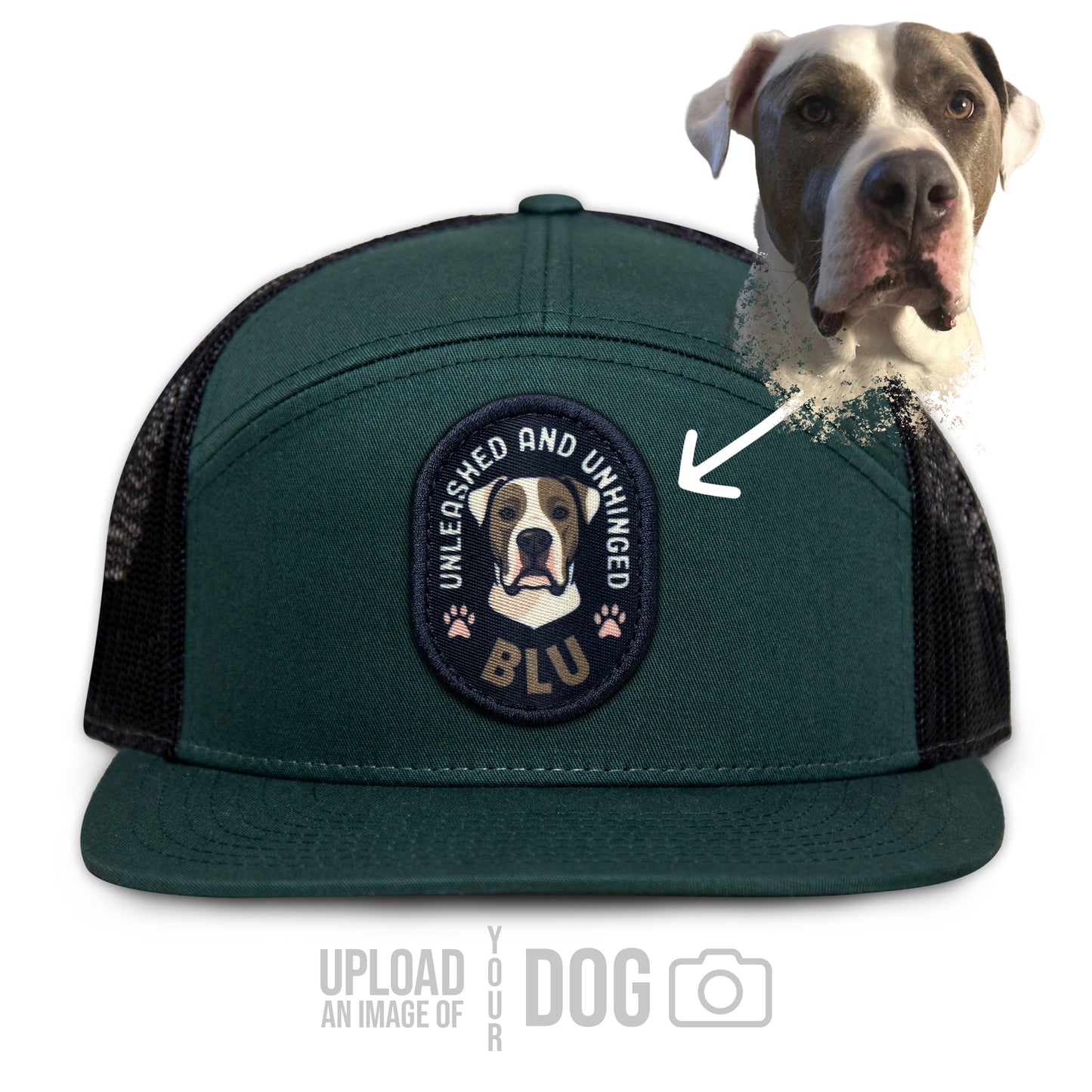 ONE-OF-A-KIND Custom Dog Hat