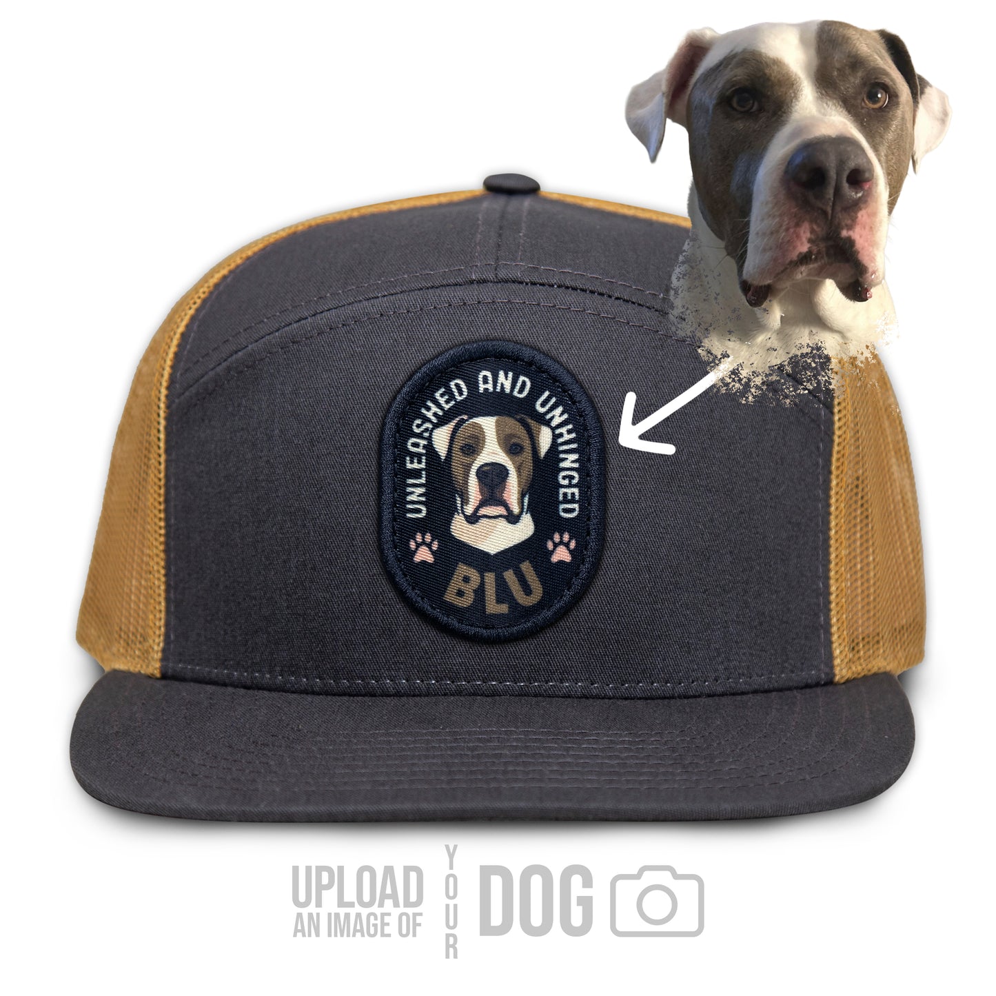 ONE-OF-A-KIND Custom Dog Hat