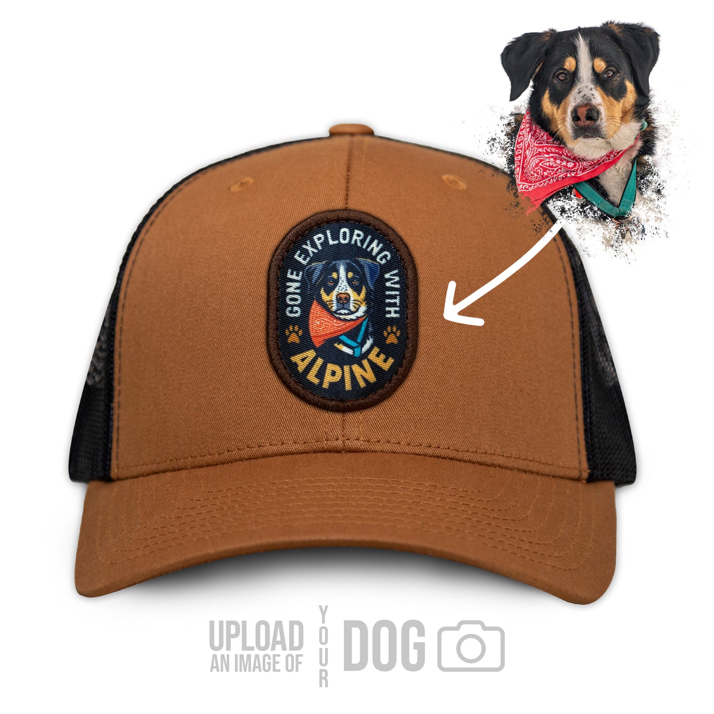 ONE-OF-A-KIND Custom Dog Hat