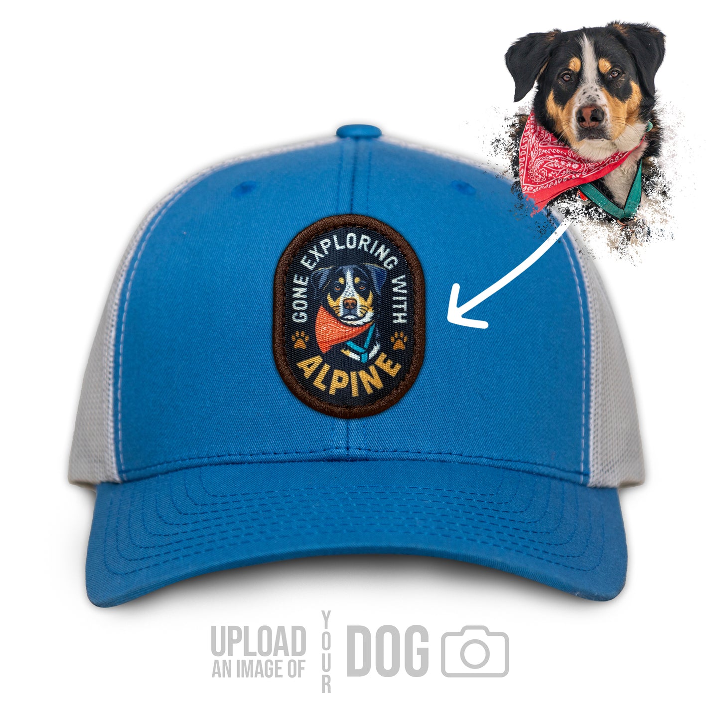 ONE-OF-A-KIND Custom Dog Hat