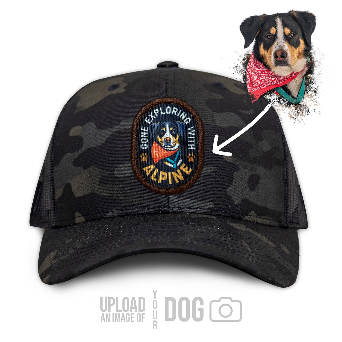 ONE-OF-A-KIND Custom Dog Hat