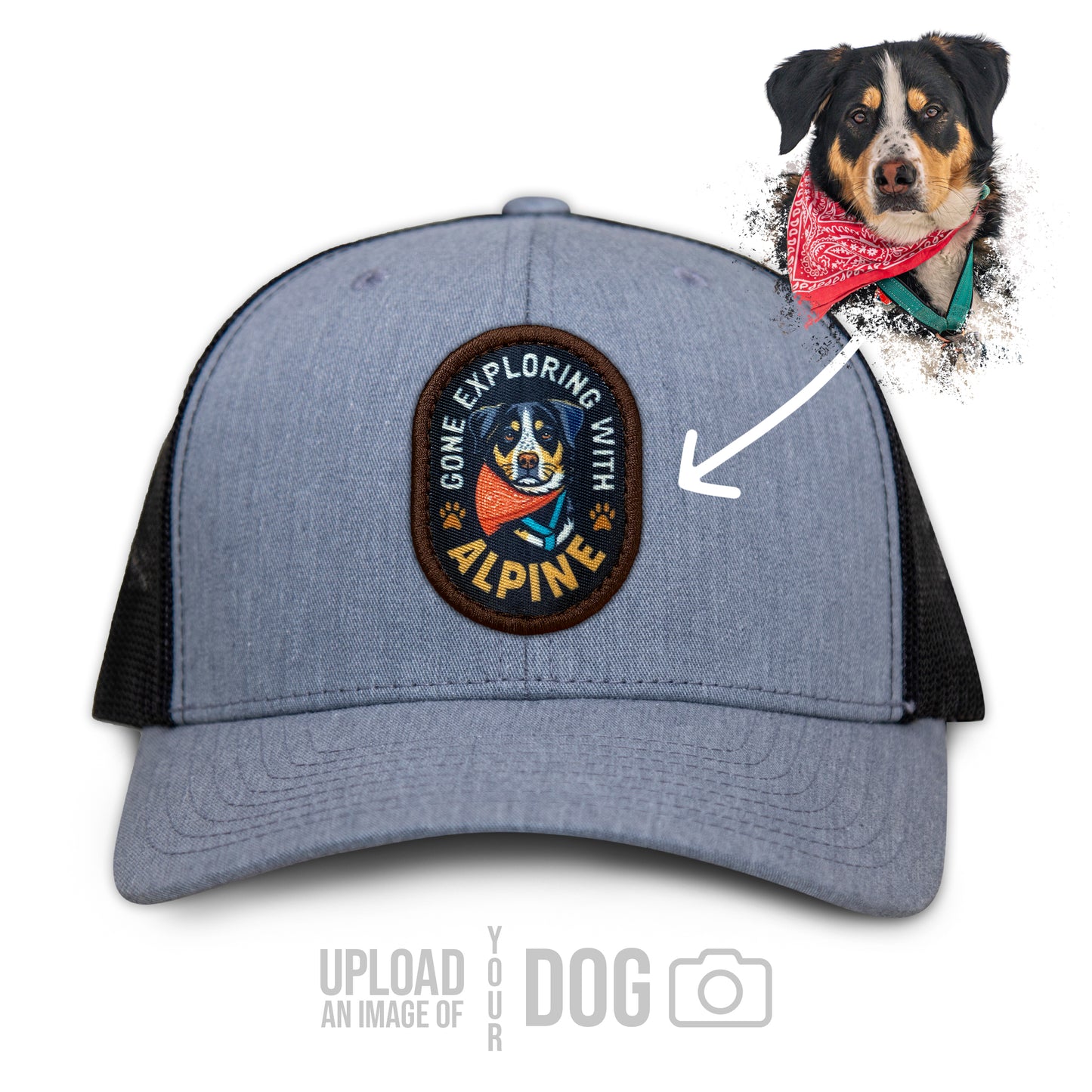 ONE-OF-A-KIND Custom Dog Hat