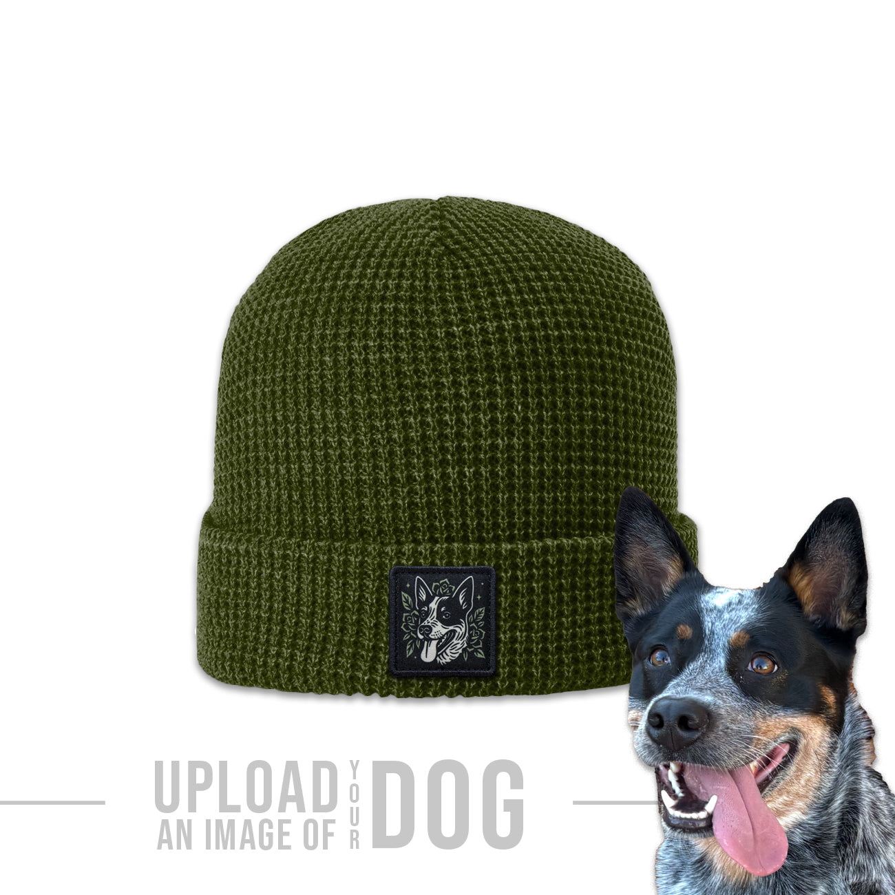 One-of-a-Kind Artist Edition Dog Hat