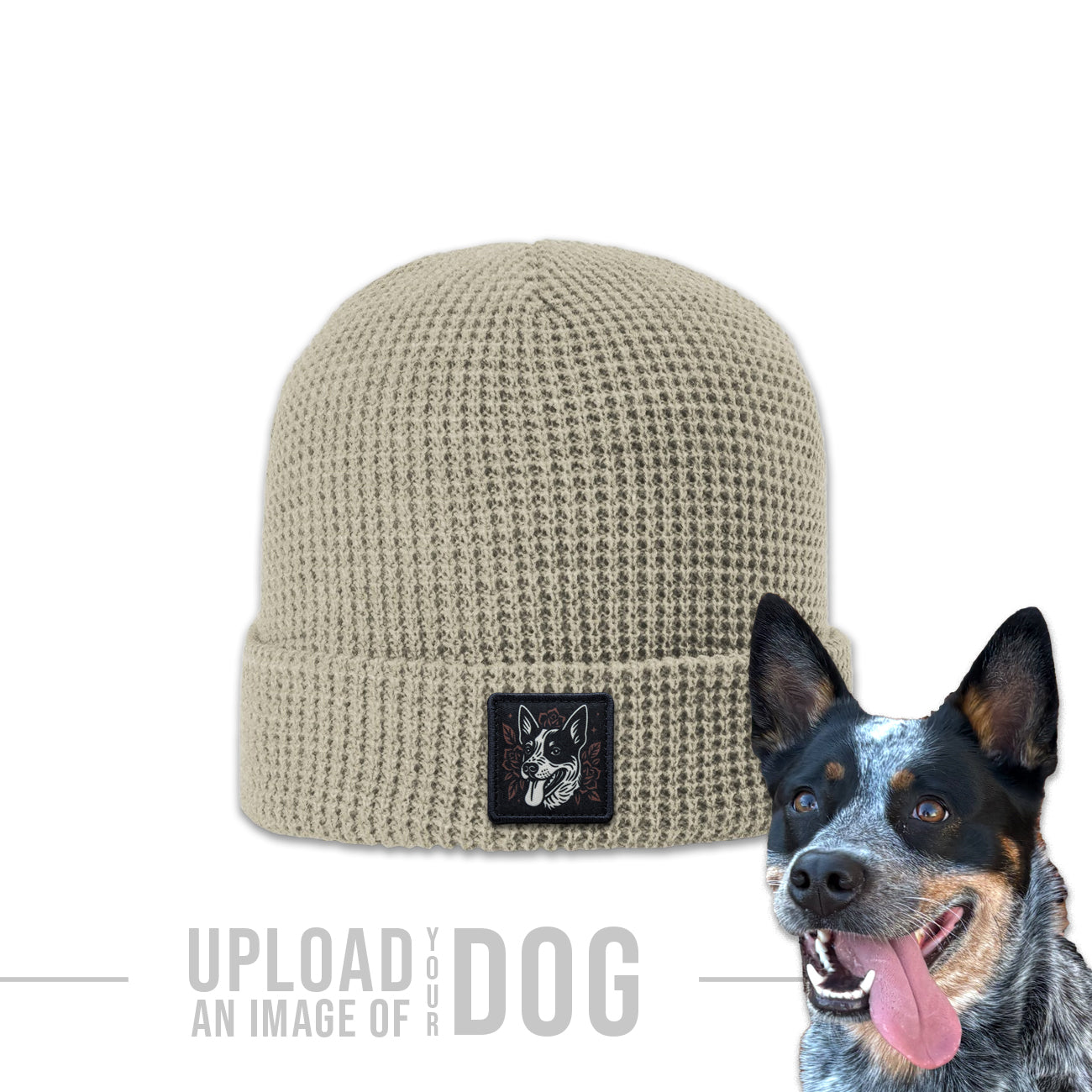 One-of-a-Kind Artist Edition Dog Hat