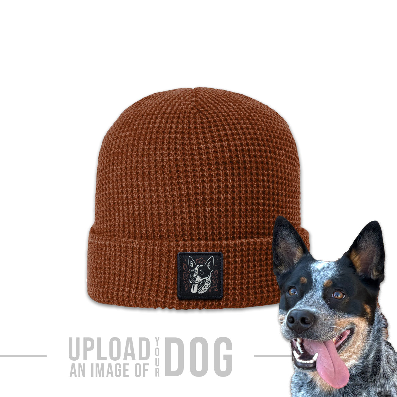 One-of-a-Kind Artist Edition Dog Hat