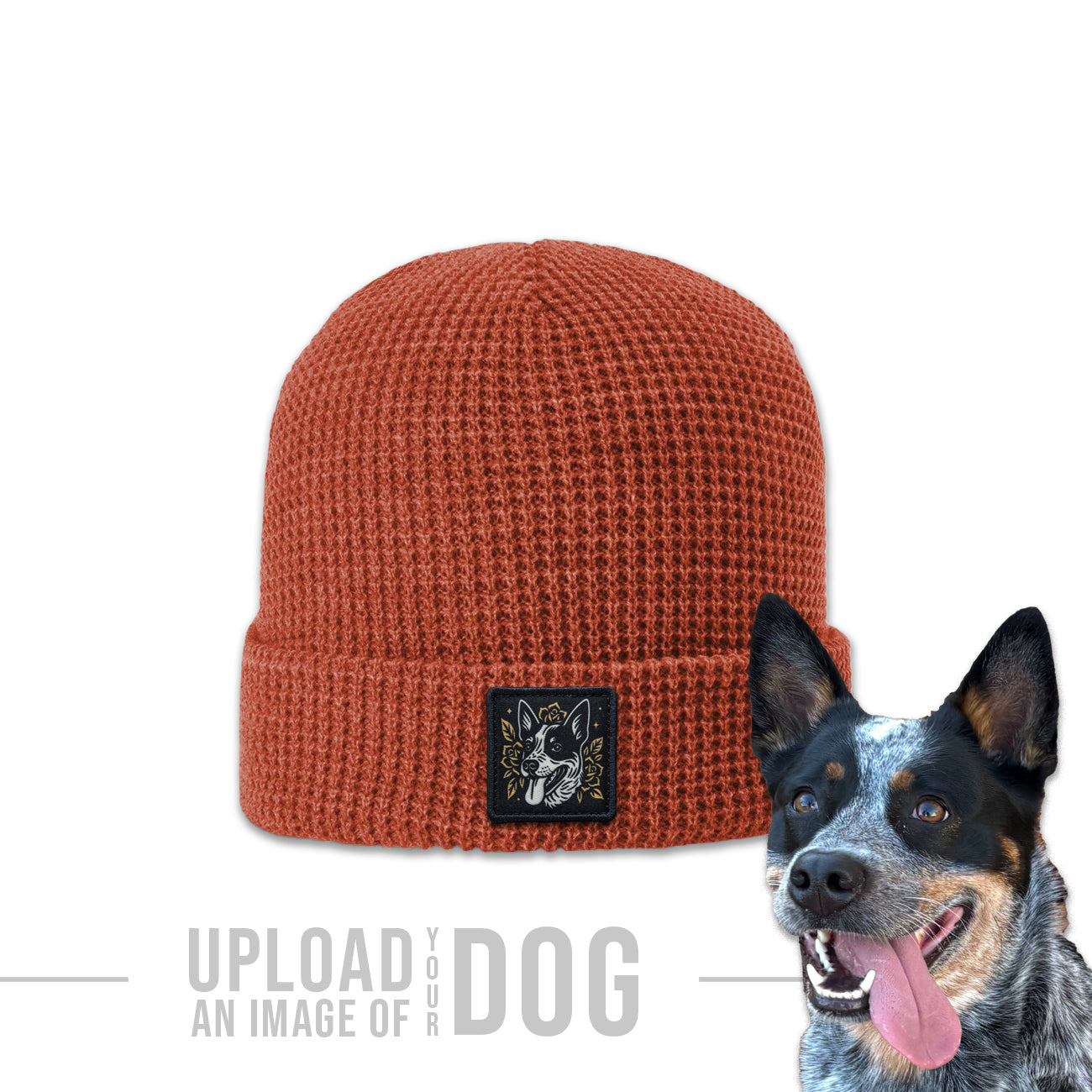 One-of-a-Kind Artist Edition Dog Hat