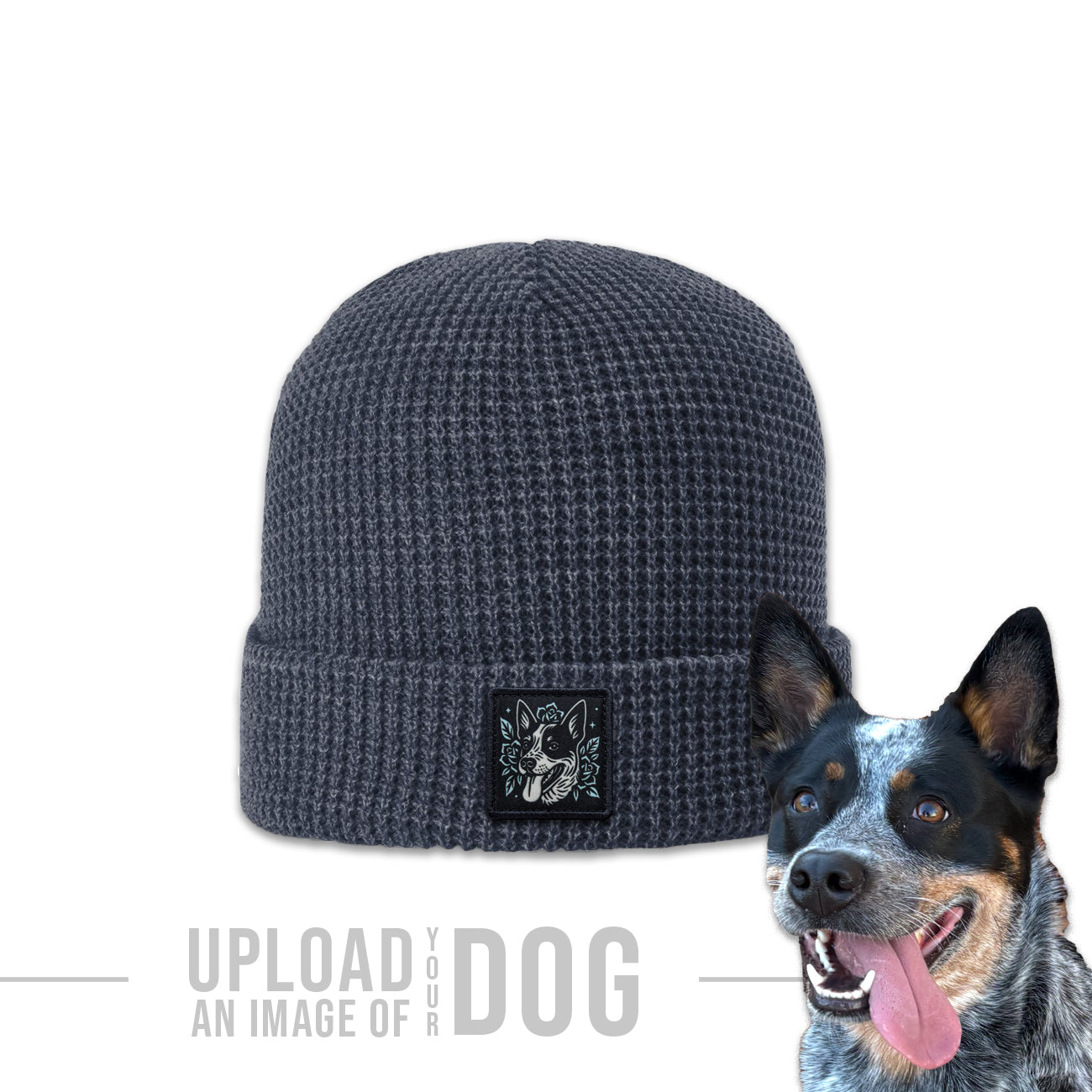 One-of-a-Kind Artist Edition Dog Hat