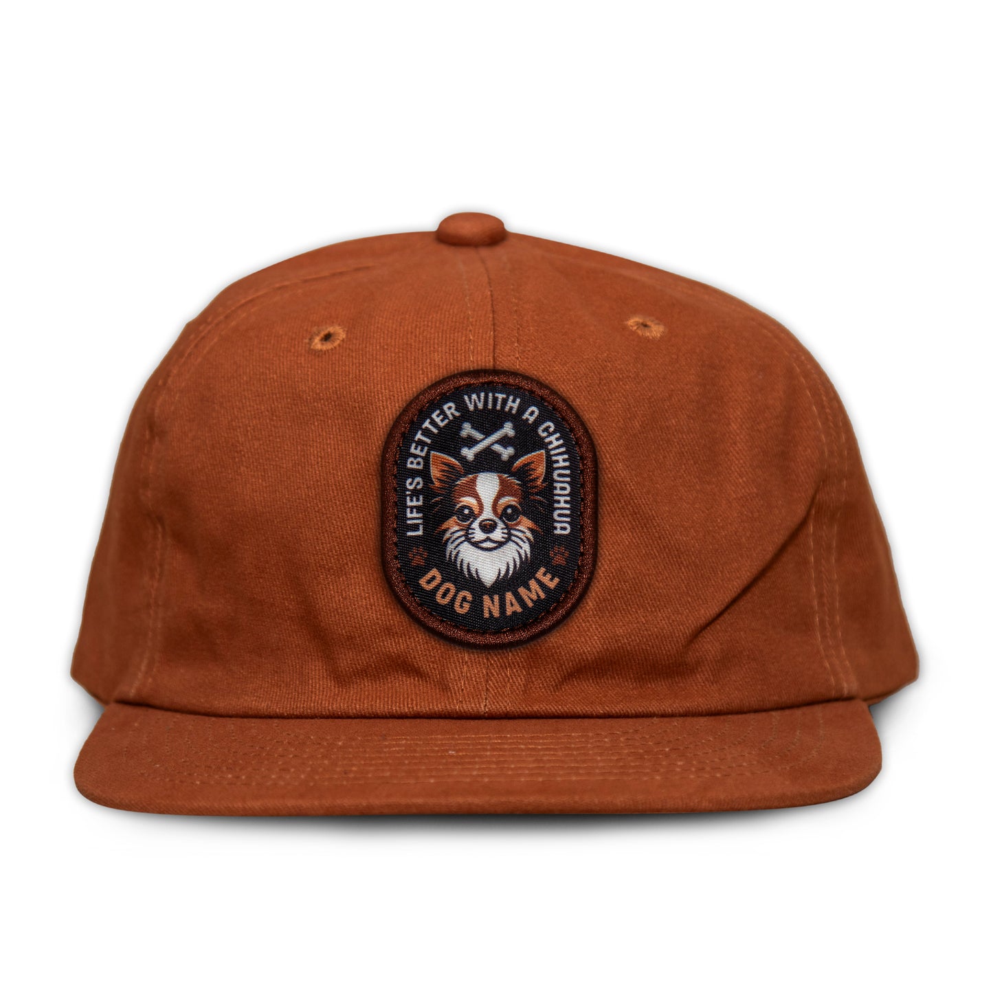 Chihuahua (Brown/White) Unstructured