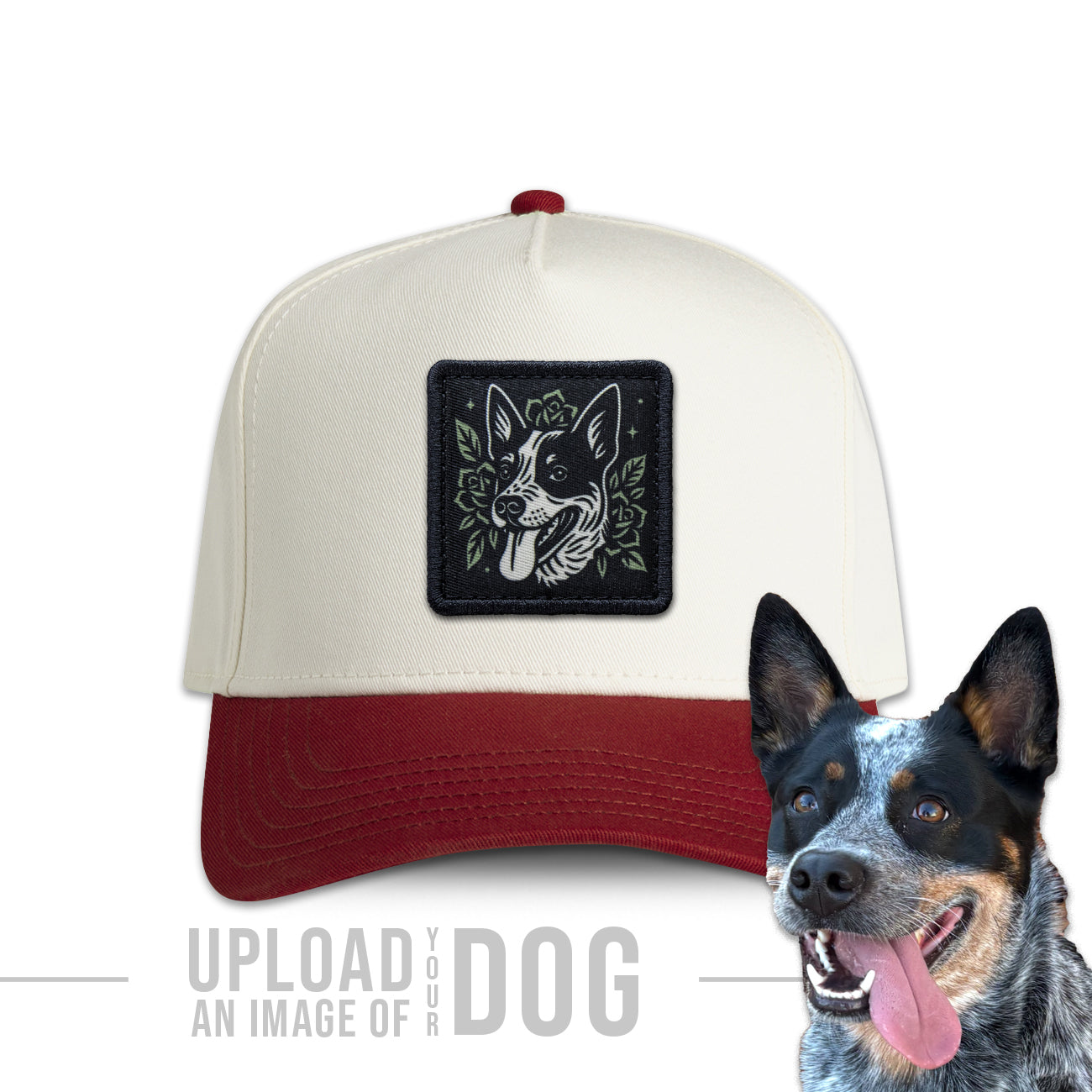 One-of-a-Kind Artist Edition Dog Hat