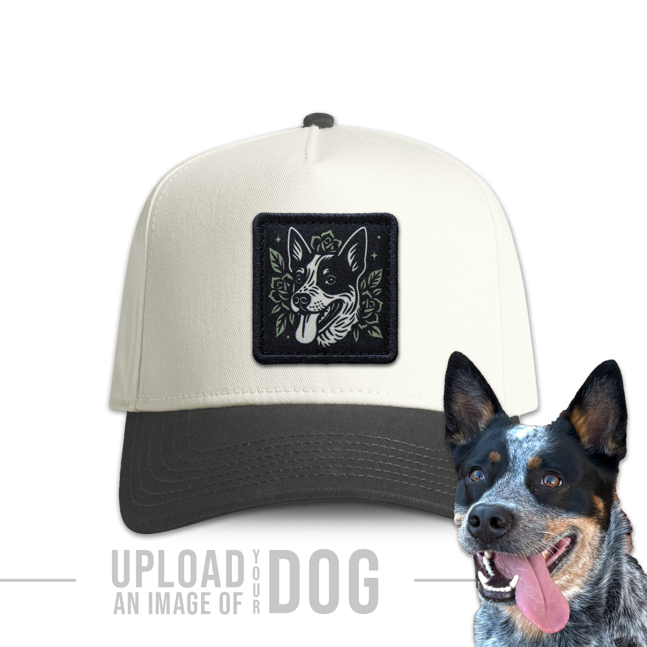One-of-a-Kind Artist Edition Dog Hat