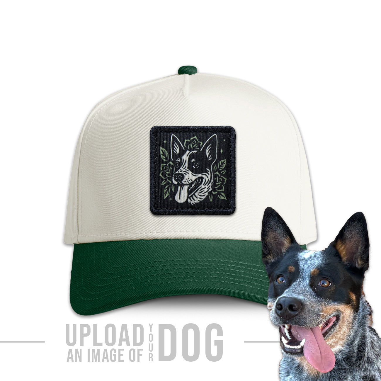 One-of-a-Kind Artist Edition Dog Hat