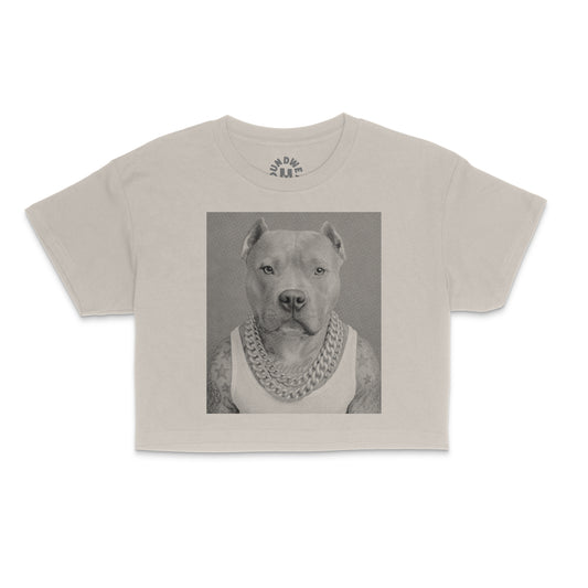 Pitbull Retro Crop T-Shirt